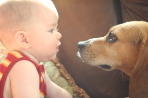 dog and baby